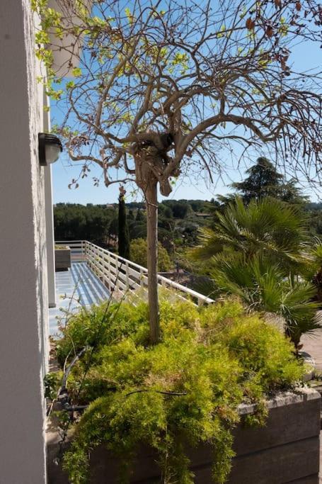 Villa Del Petraro Valle D'Itria Noci Kültér fotó