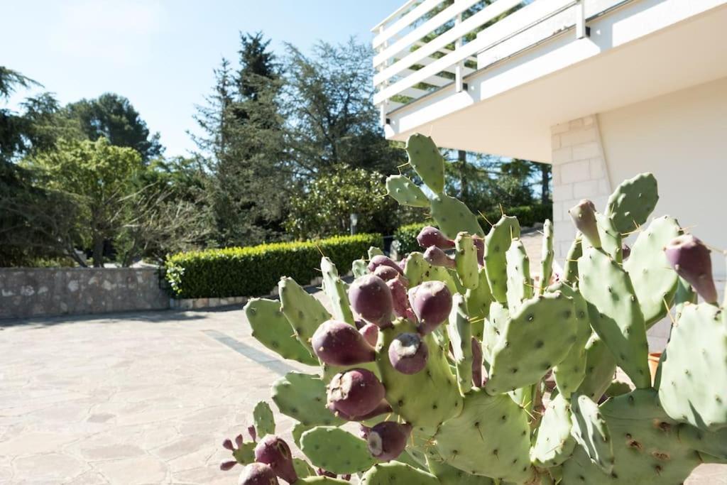 Villa Del Petraro Valle D'Itria Noci Kültér fotó